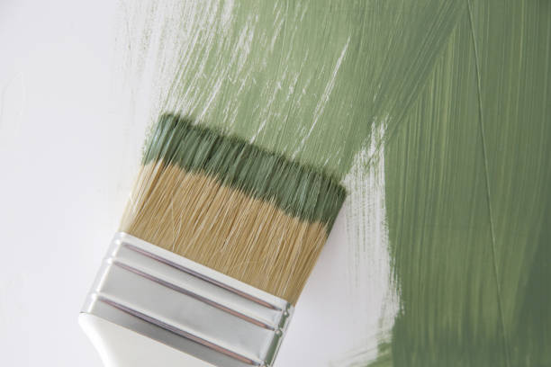 Gibraltar, MI Mold Removal Company