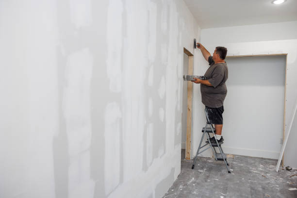 Best Mold Documentation for Insurance Claims  in Gibraltar, MI