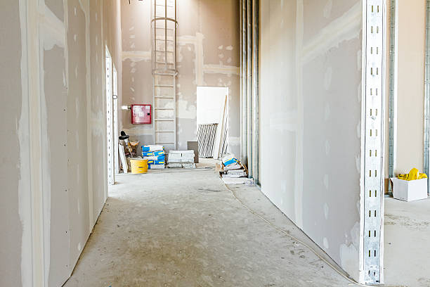 Trusted Gibraltar, MI Mold Removal Experts